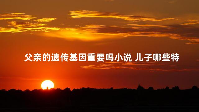 父亲的遗传基因重要吗小说 儿子哪些特征遗传父亲